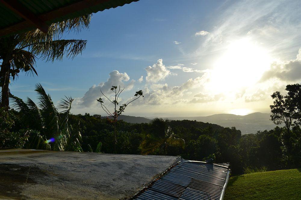 El Hotelito At The Rainforest Experience Farm Fajardo Eksteriør bilde