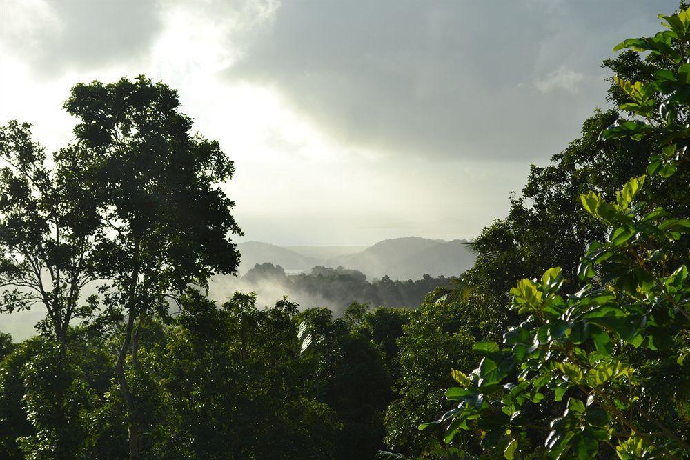 El Hotelito At The Rainforest Experience Farm Fajardo Eksteriør bilde