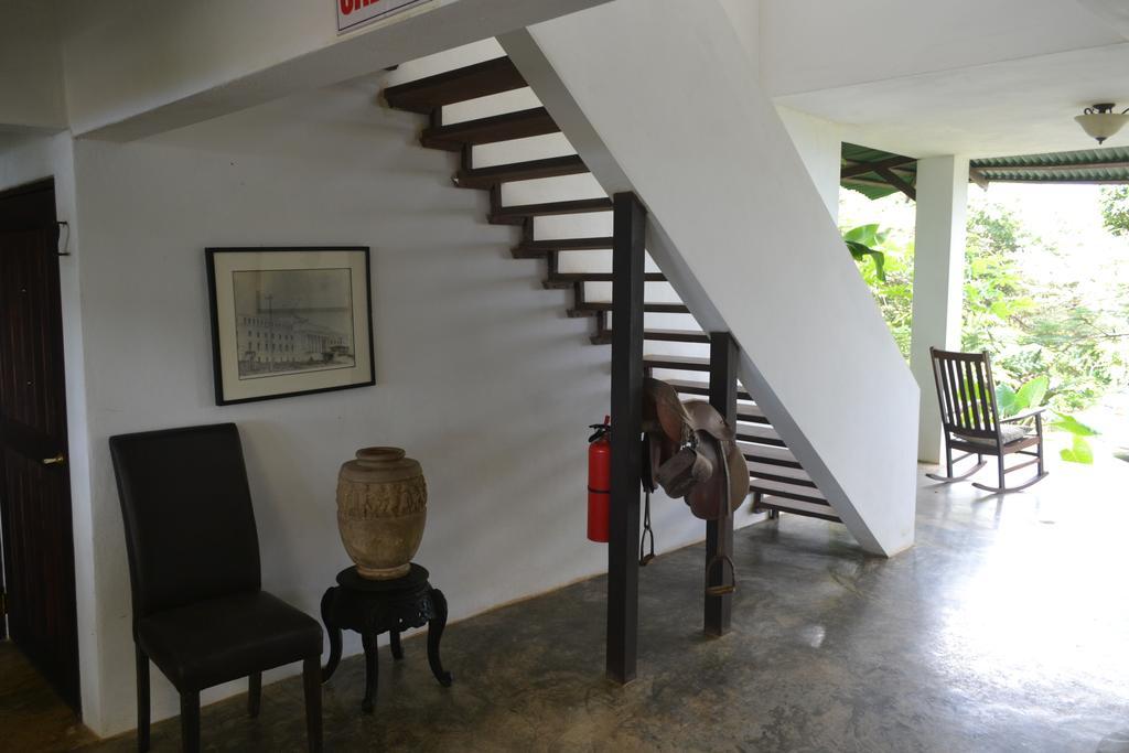 El Hotelito At The Rainforest Experience Farm Fajardo Eksteriør bilde