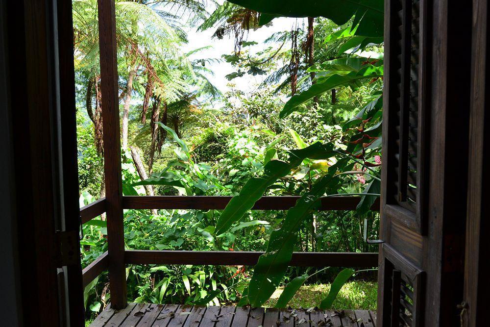 El Hotelito At The Rainforest Experience Farm Fajardo Eksteriør bilde