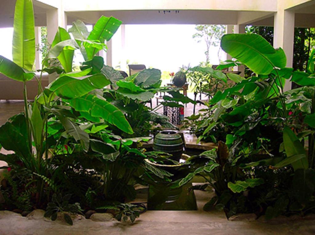 El Hotelito At The Rainforest Experience Farm Fajardo Eksteriør bilde