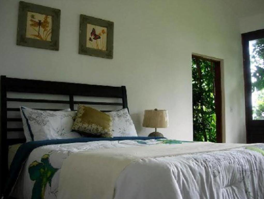 El Hotelito At The Rainforest Experience Farm Fajardo Eksteriør bilde